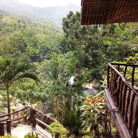 Hilltop Cottages Loboc Extérieur photo