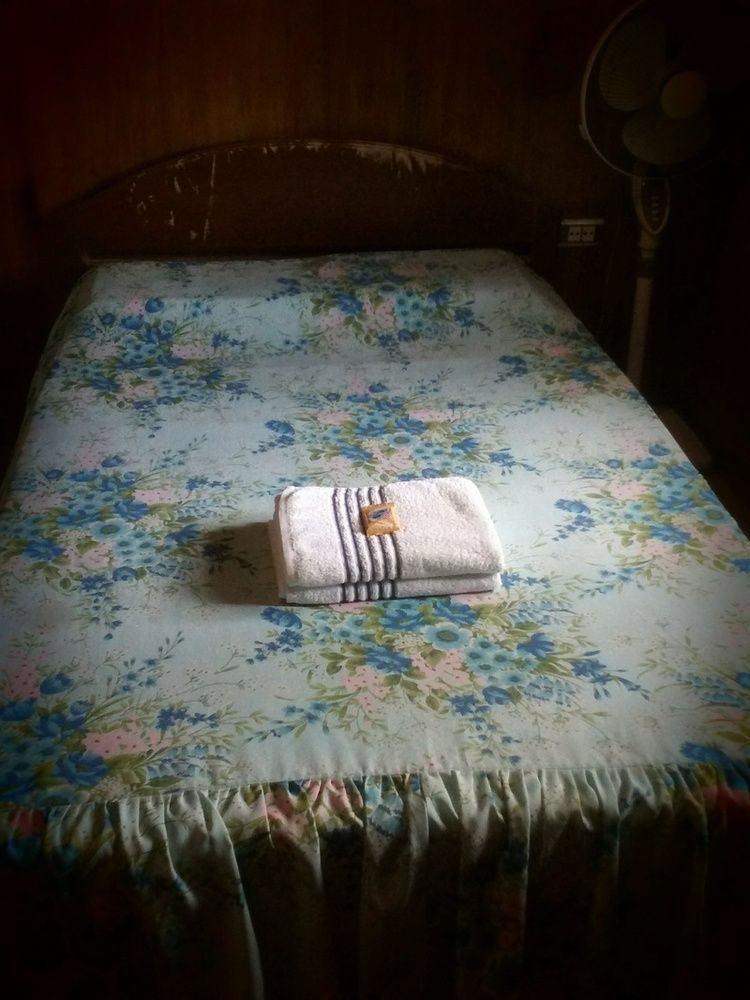 Hilltop Cottages Loboc Extérieur photo
