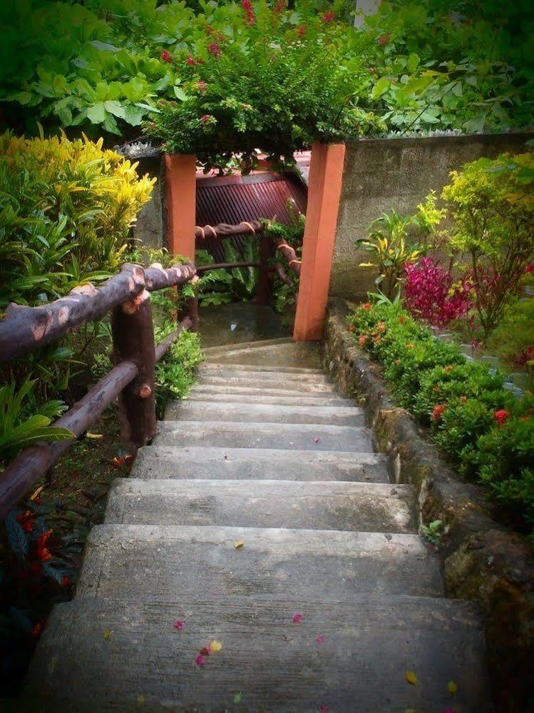 Hilltop Cottages Loboc Extérieur photo